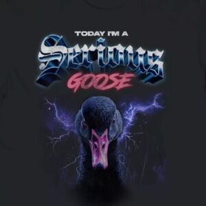 Today I’m a Serious Goose Graphic T-Shirt Black Unisex Size M